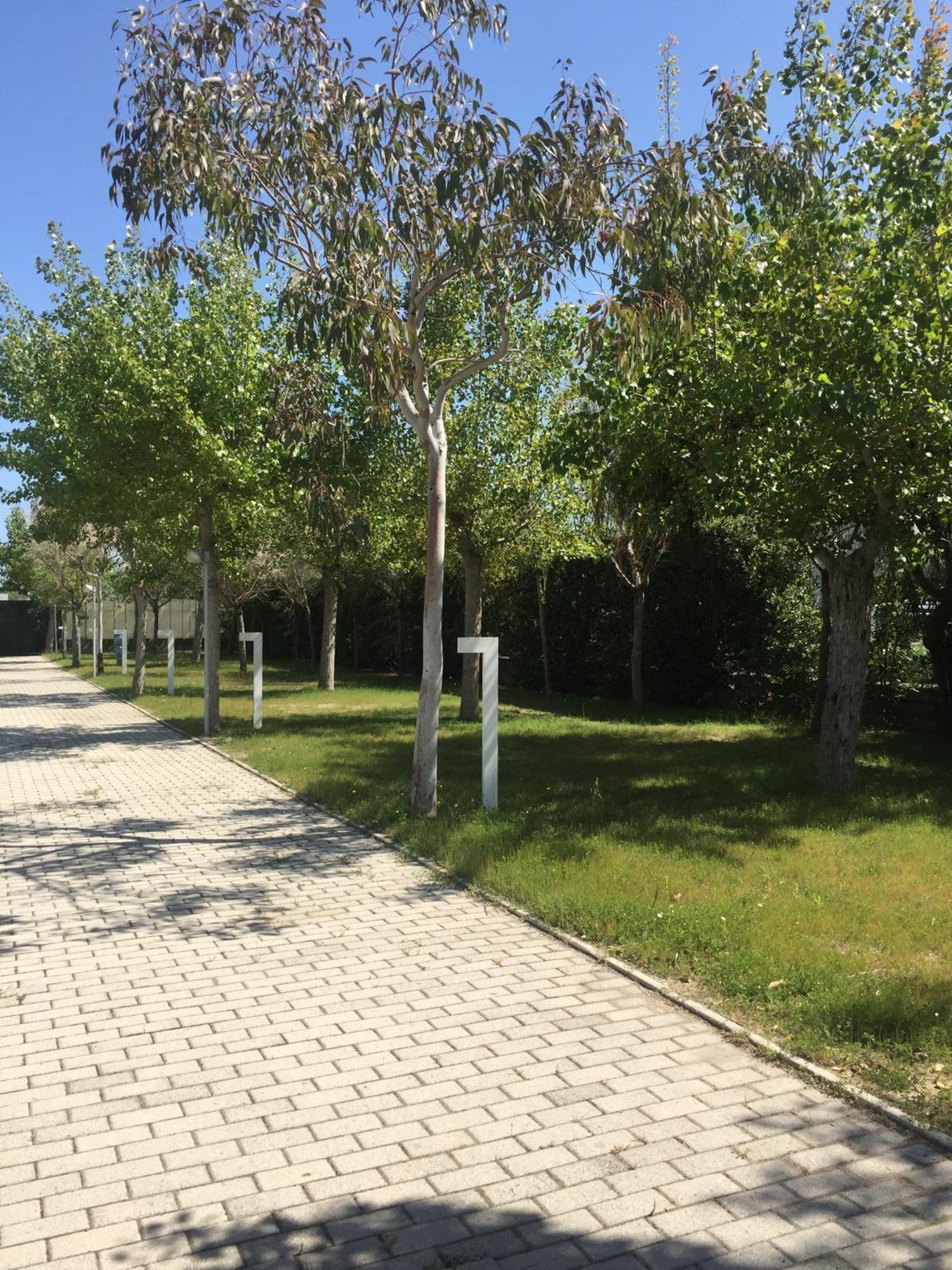 ואסטו Camping & Residence Il Pioppeto מראה חיצוני תמונה
